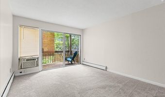 1531 Packard St 13, Ann Arbor, MI 48104