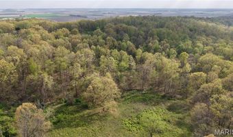 0 County Road 261, Advance, MO 63730