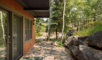 477 Aspen Oak Dr, Aspen, CO 81611