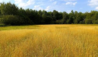 County Road Y, Aniwa, WI 54408