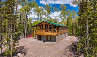 310 N Scenic Dr, Brian Head, UT 84719