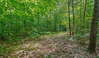 1125 39th St, Allegan, MI 49010