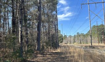 0 Mail Route Rd, Bonneau, SC 29431