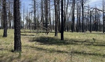 Off-Hicks Road, Bly, OR 97622