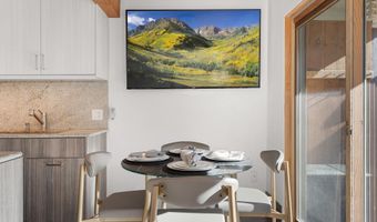 1024 E Cooper Avenue 3A, Aspen, CO 81611
