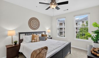 2465 ARMY NAVY Dr 1-202, Arlington, VA 22206