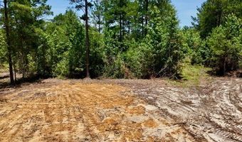 1 97 +/- Acres Airport Rd Lot 4, Andalusia, AL 36421