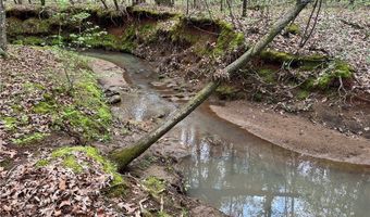 81 N Hwy, Calhoun Falls, SC 29628