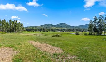 33676 Hilltop Ter, Bigfork, MT 59911