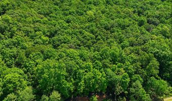 County Road 101, Alton, MO 65606