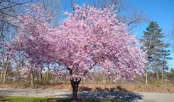 2388 Nixon Rd, Ann Arbor, MI 48105