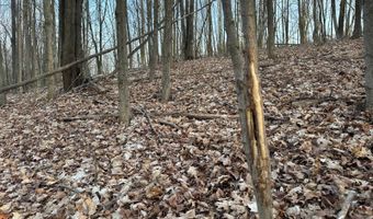 Lot 4 Mud Run Rd, Addison, NY 14801