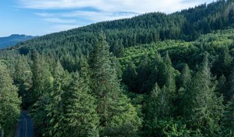 N Dubois Rd, Ariel, WA 98603