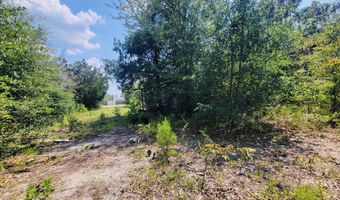 7157 NW Porter Grade Rd, Altha, FL 32421