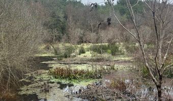 Wilburn Taylor Road, Buckatunna, MS 39322