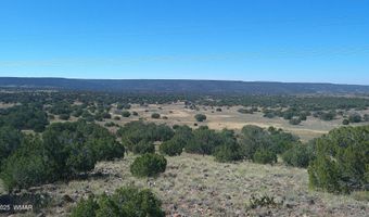 41 Indian Dr, Concho, AZ 85924