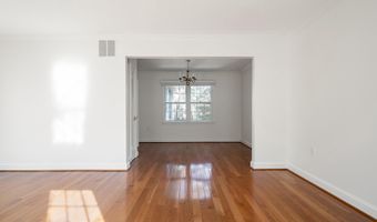 8113 ORVILLE St, Alexandria, VA 22309