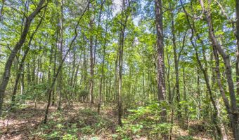 1393 Woodland Mountain Trl, Augusta, WV 26704