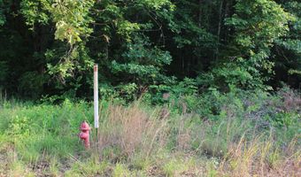 999 Whites Crossing Rd, Ashland, MS 38603