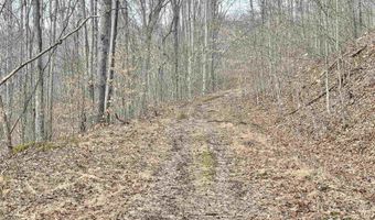 3938 Saint Clara Rd, Alum Bridge, WV 26321