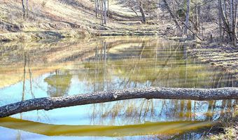 5106 Pine Grove Rd, Ballard, WV 24918