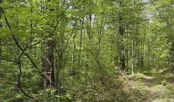999999 Harwood Rd 2, Barnardsville, NC 28709