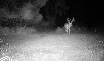 560 Th Ave, Albia, IA 52531