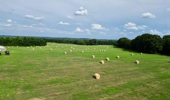 County Road 127, Banks, AL 36005