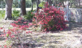 657 Pine St, Alligator Point, FL 32346