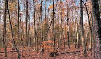 4-1 7 Hodgeman Hill Rd, Campton, NH 03223