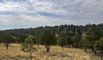 Lot 9 150 Mira Monte, Alto, NM 88312