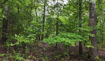 County Road Jj-416, Ava, MO 65608