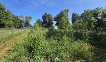 3036 Hwy P Hwy, Alton, MO 65606