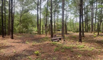10063 River Dr, Bay St. Louis, MS 39520