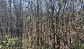 000 Holland Farm Rd, Andrews, NC 28901