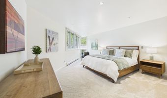 506 W Hallam St, Aspen, CO 81611