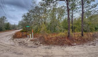 NW 10th Ave, Bell, FL 32619