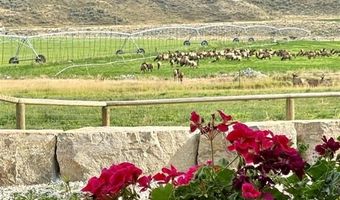 6 Whitney Dr, Cody, WY 82414