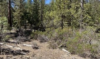 Horned Owl Lane, Bonanza, OR 97623