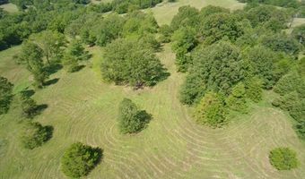 14442 State Highway Af, Ava, MO 65608