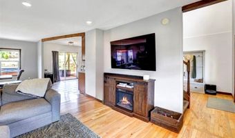 261 COUNTY ROAD 6, Alma, CO 80420