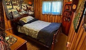 6002 Wildwood, Alger, MI 48610