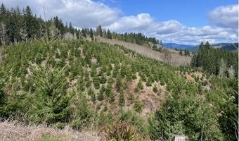 Northrup Creek RD, Birkenfeld, OR 97016