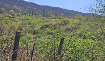 Tbd Clear Fork Creek Road, Bastian, VA 24314