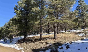 Lot 19 Buckskin Rd, Angel Fire, NM 87710