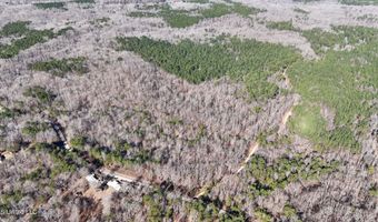 Tall Pines Road, Ashland, MS 38603