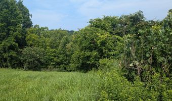 Paradise Mountain Lane lot 2, Bean Station, TN 37708