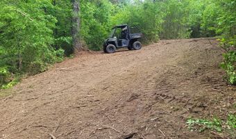 484 Naples Ln, Arab, AL 35016
