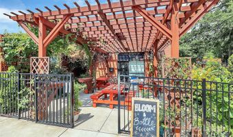11043 Stetler St, Charlotte, NC 28204