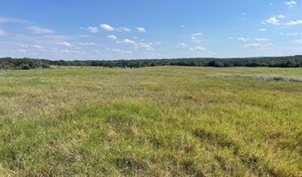 3688 N Fm 1655, Alvord, TX 76225